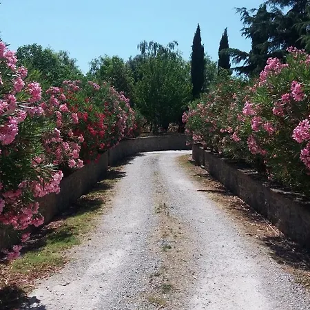 San Marco Casa vacanze Cortona