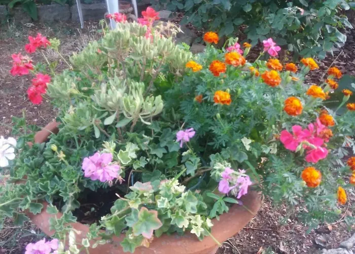 Ferienhaus San Marco *