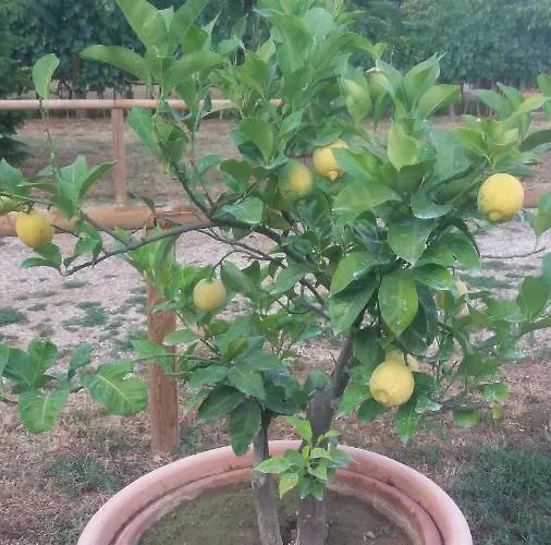 San Marco Ferienhaus